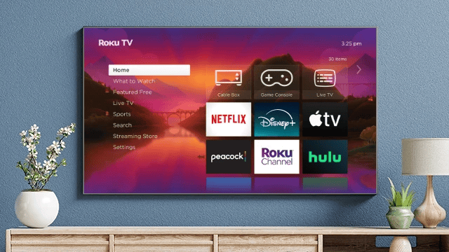 What is Roku